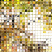 26th Aug 2024 - Abstract 26 - Mosaic Glass