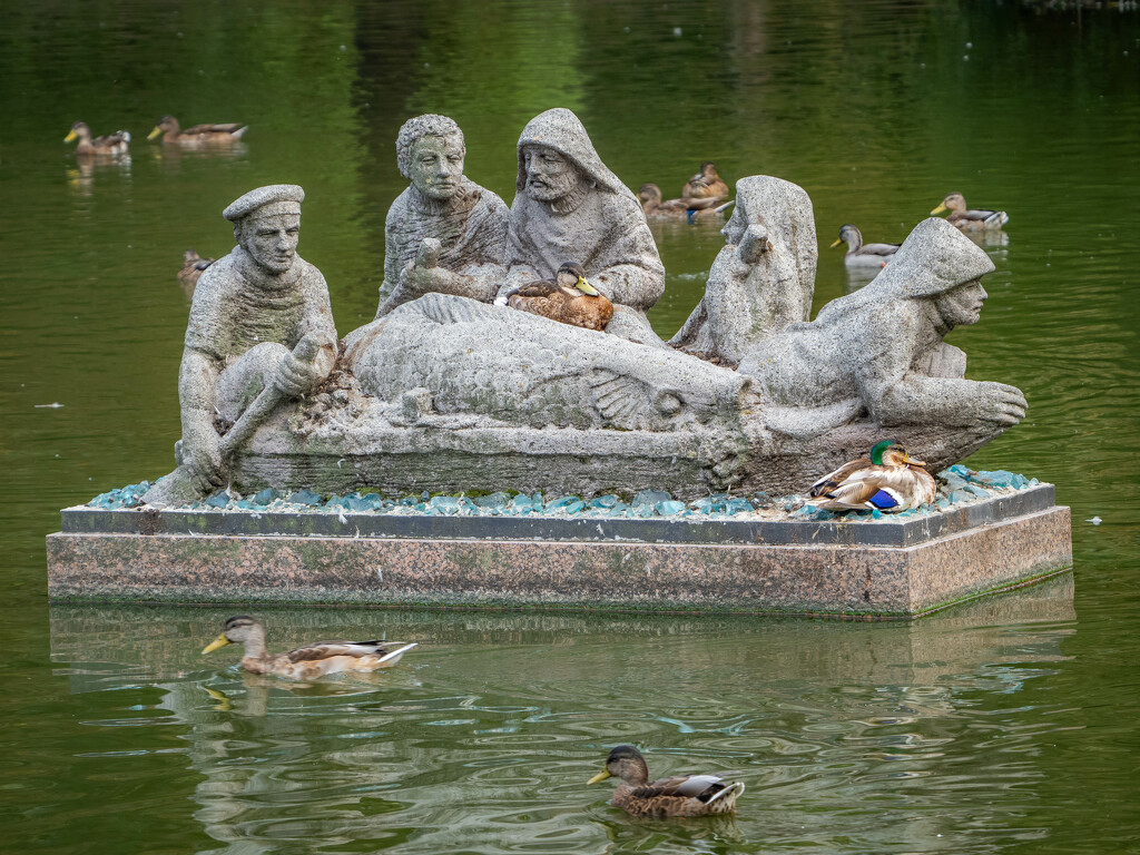 on the pond by haskar