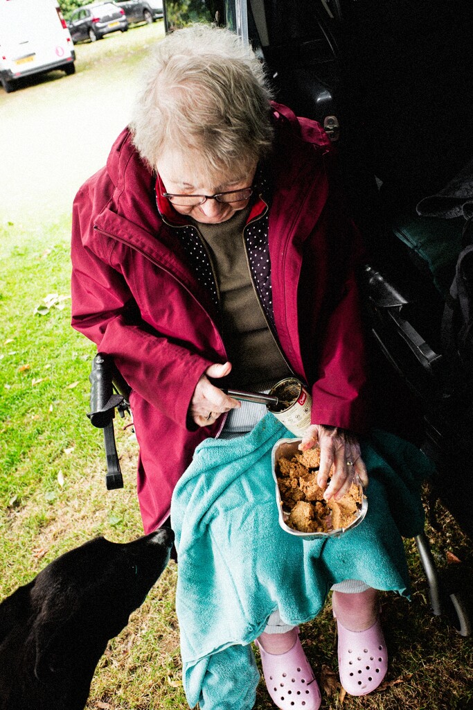 Alfie's Picnic by allsop