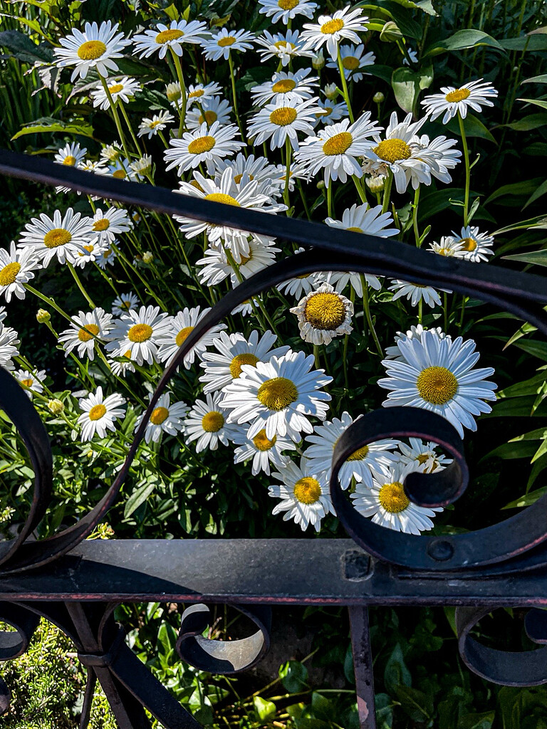 The Wealth of Nature by gardenfolk