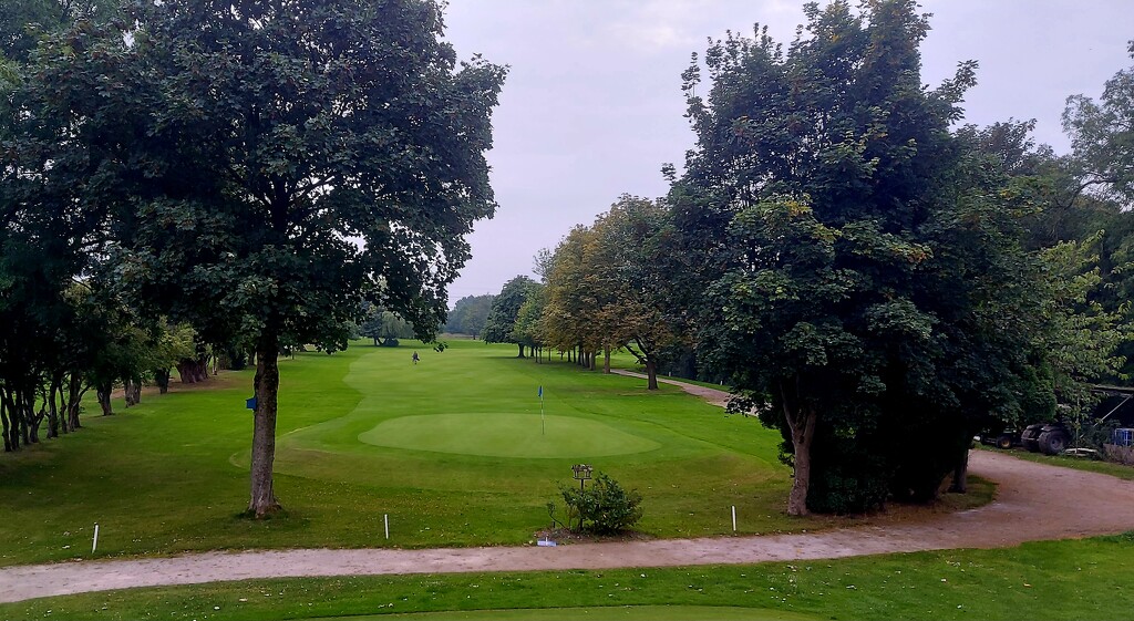 18th Green, Flixton Golf Club by antmcg69