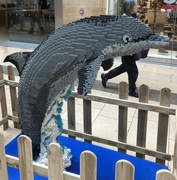 27th Aug 2024 - Lego Dolphin 