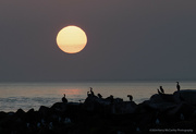 27th Aug 2024 - Cormorants and the setting sun