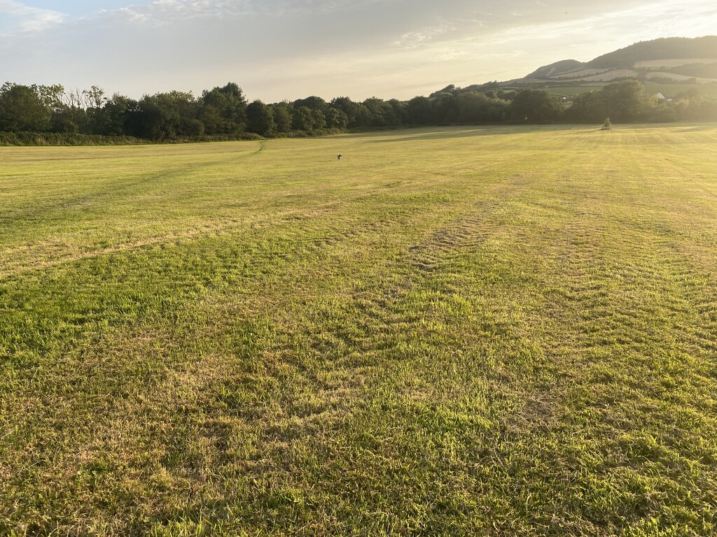 Lines In The Field by tonus