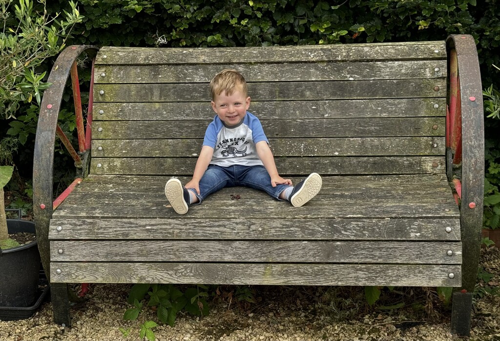 Jake on a Very Old Seat by susiemc