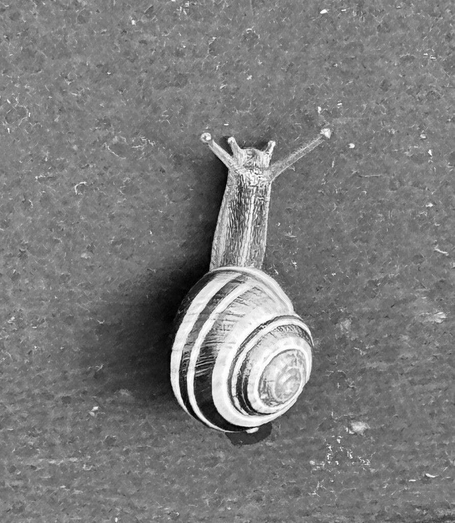 Snail on lamppost  by horter