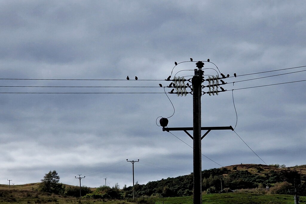 pylon by christophercox