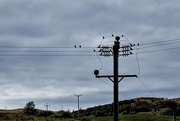 27th Aug 2024 - pylon