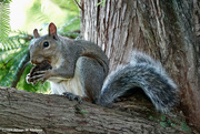 27th Aug 2024 - Lunch Buddy