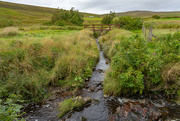 27th Aug 2024 - Swinister Burn