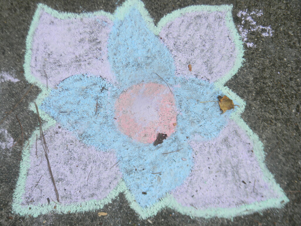 Chalk Drawing Flower  by sfeldphotos