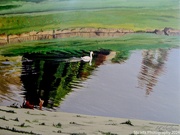 28th Aug 2024 - Reflections (painting)