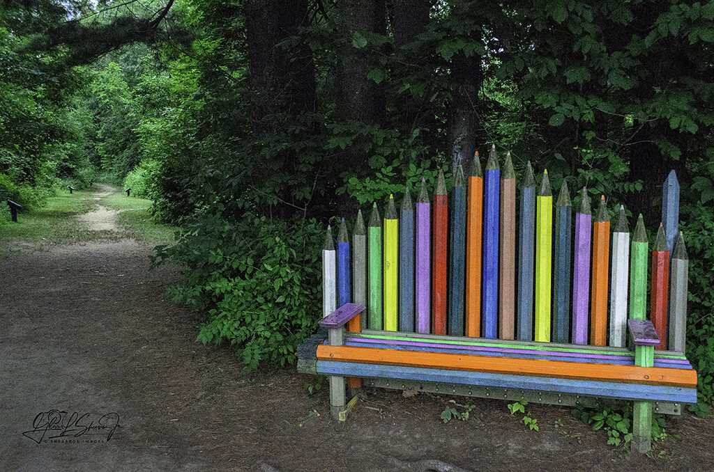 Trail @ Friendship Park by ggshearron