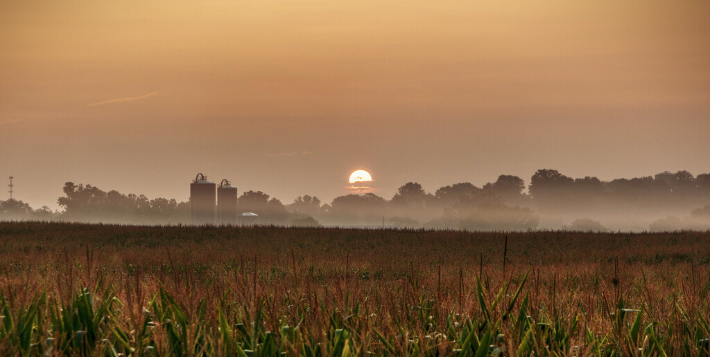 Morning Hazy Sunrise by pdulis