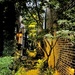 Charleston Garden by congaree