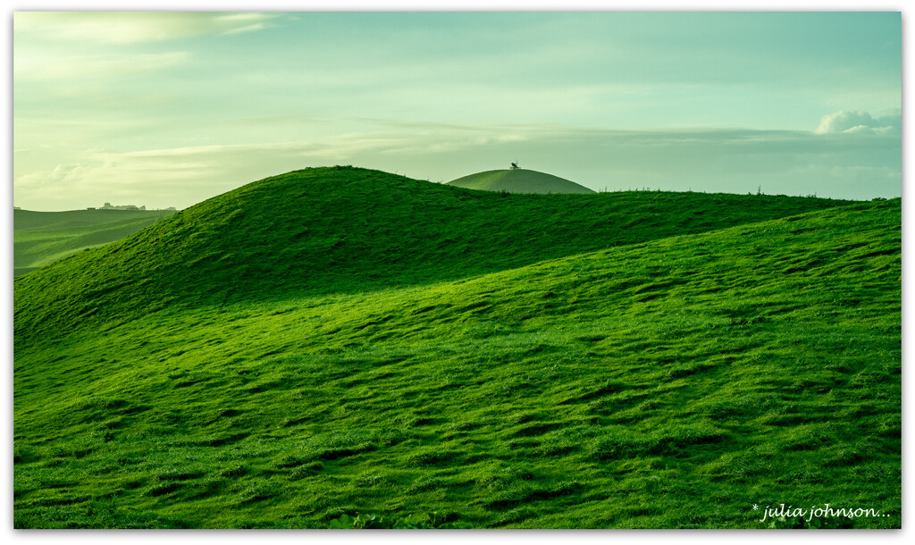 Green Green Grass 0f Home... by julzmaioro