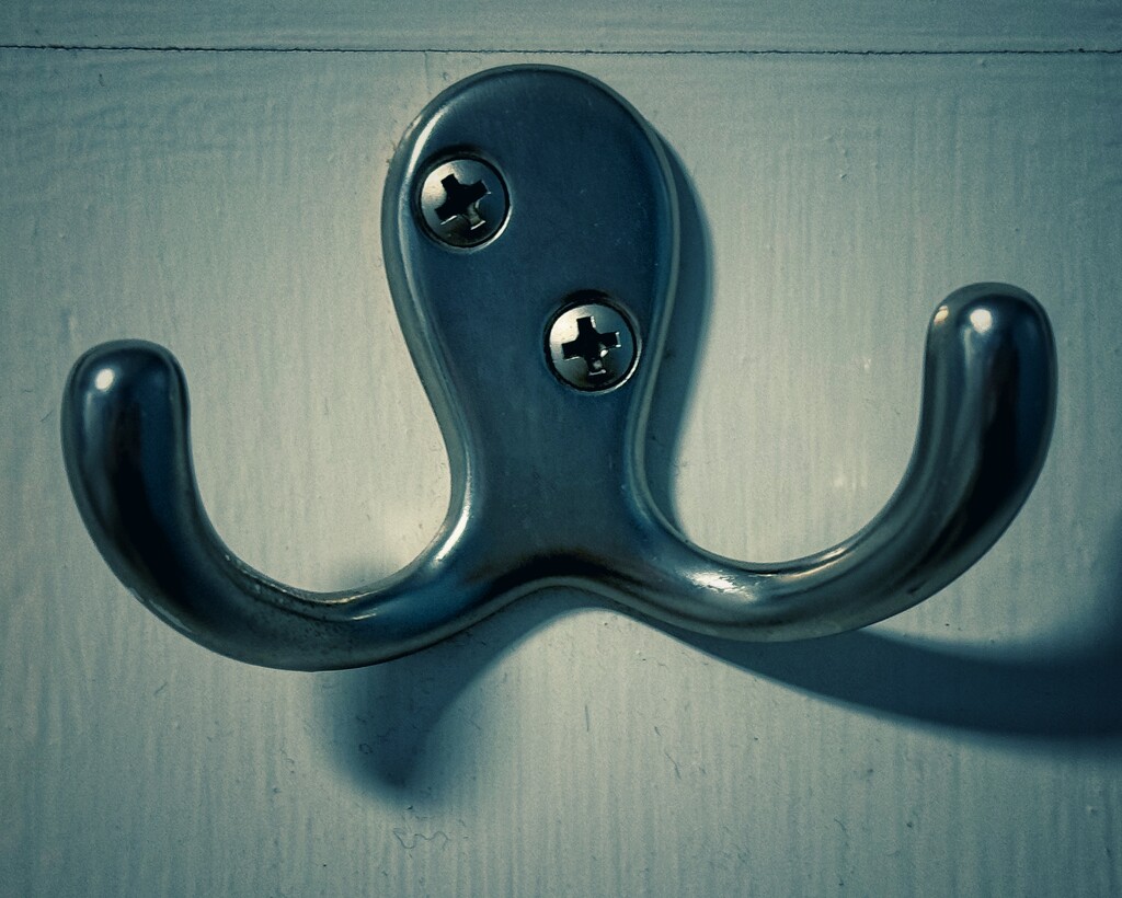 Drunken Octopus by anncooke76