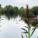 Calm over the lake