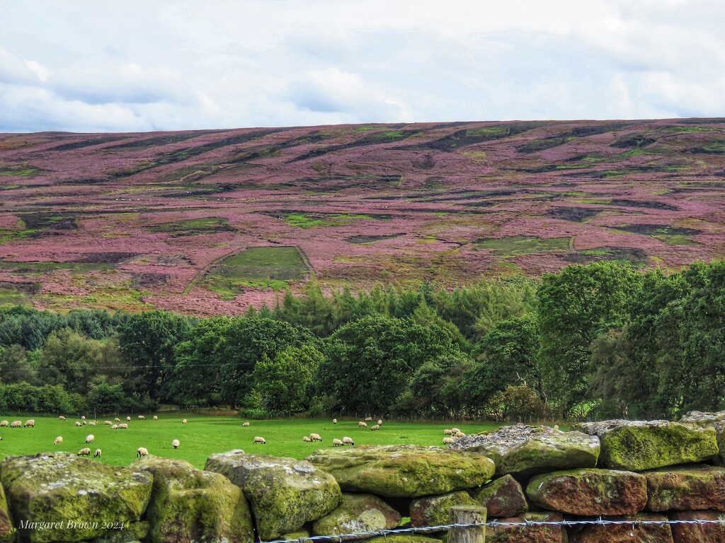 Above Commondale by craftymeg