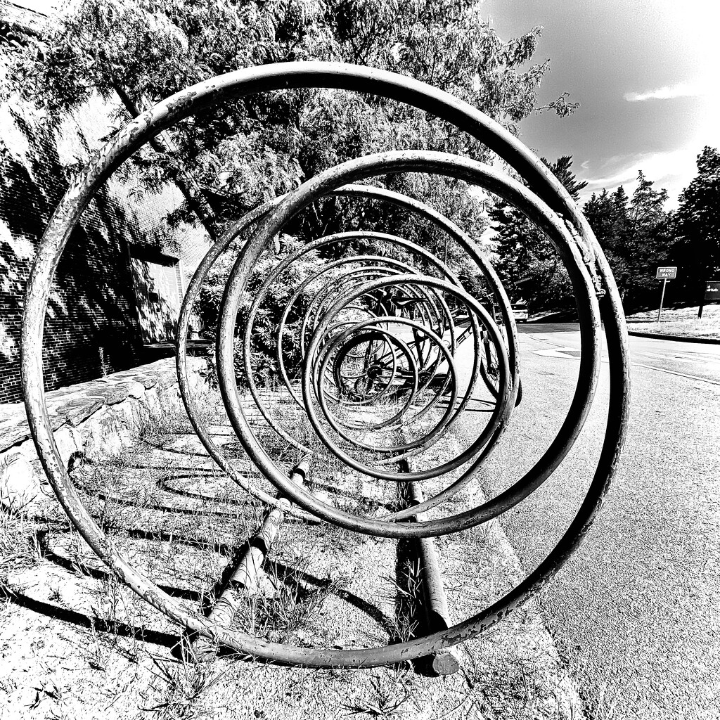 Round The Bicycle Rack by rickaubin