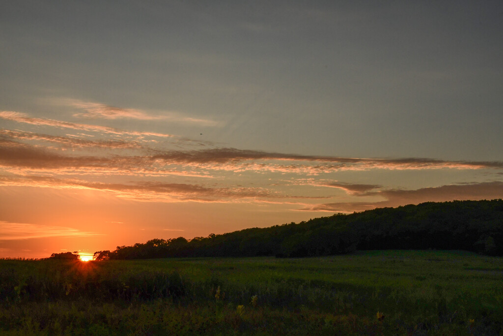 Hillside Sunset by kareenking