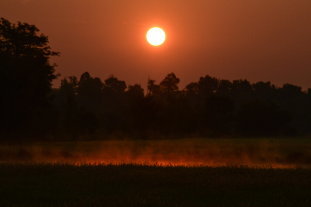 Orange Mist by kareenking