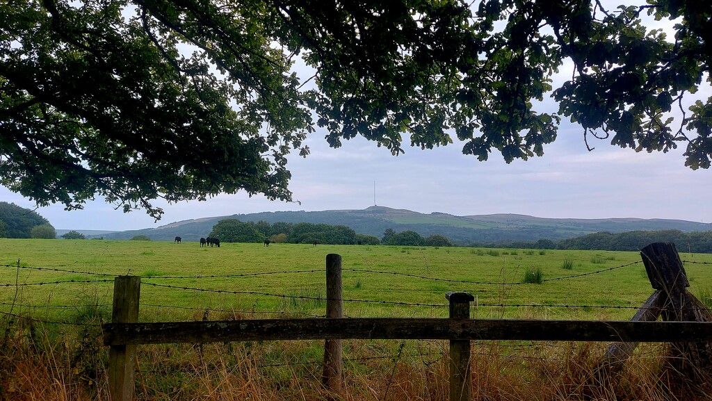 Rivington Pike by antmcg69