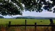 28th Aug 2024 - Rivington Pike