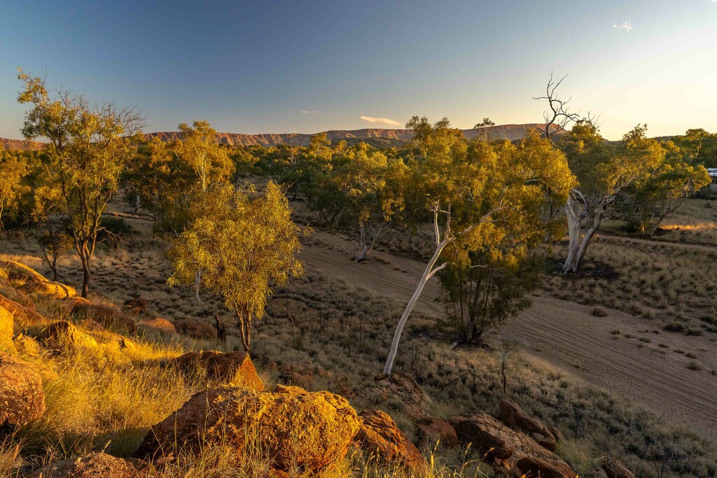 MacDonnell Ranges by pusspup