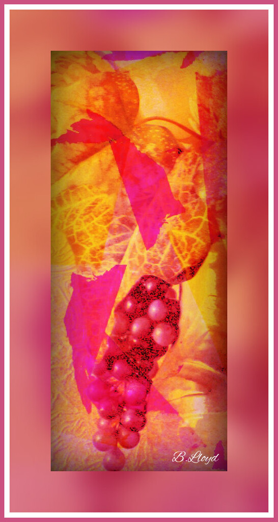 Abstract,- grapes.  by beryl