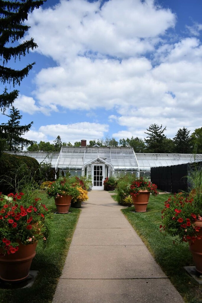 The Greenhouse  by alophoto