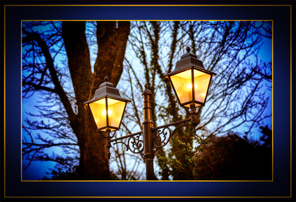 Lamplight by swillinbillyflynn