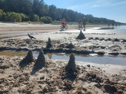 29th Aug 2024 - Afternoon at the beach