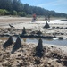 Afternoon at the beach