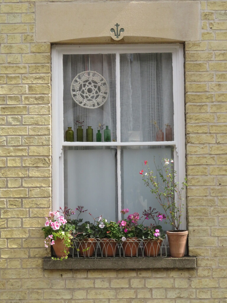 Pretty window by felicityms