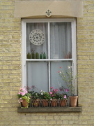 29th Aug 2024 - Pretty window