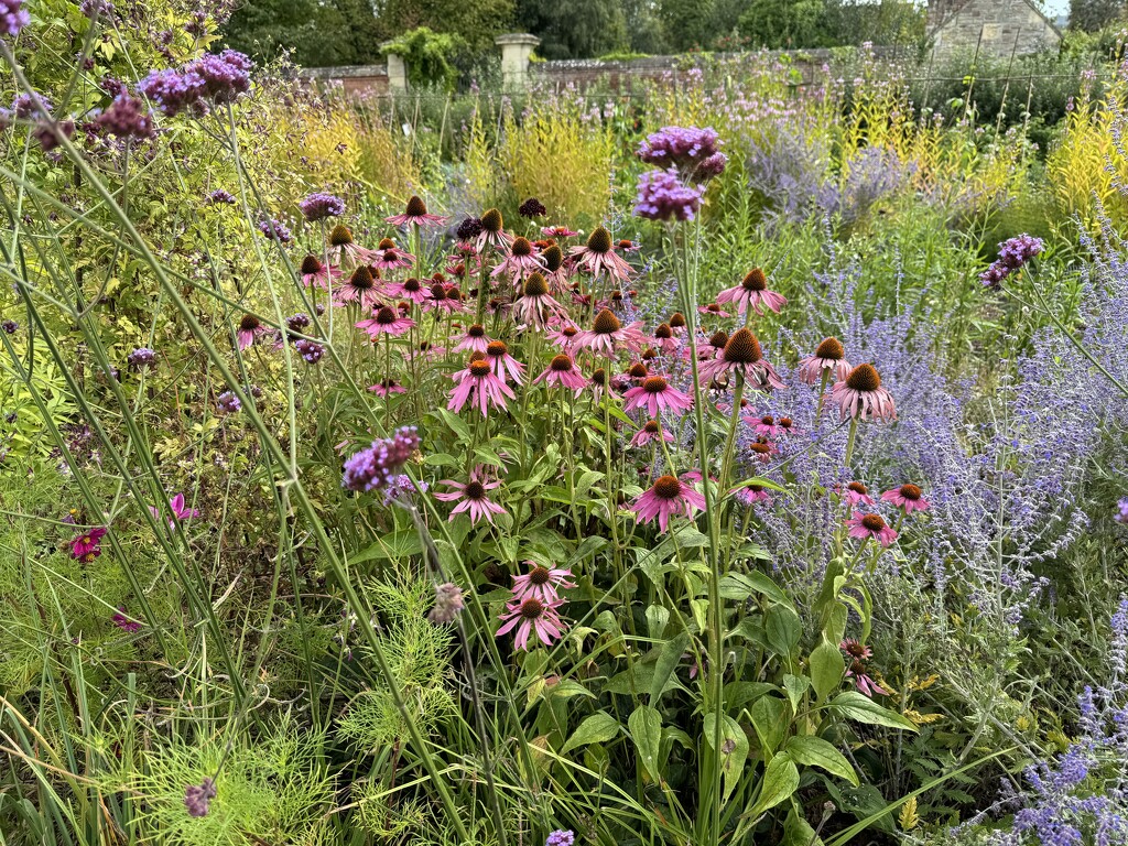 A Very Old Walled Garden by susiemc