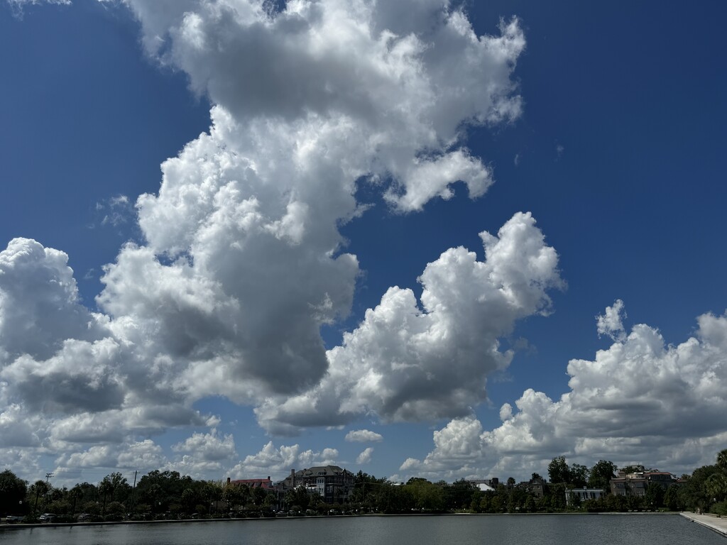 Summer cumulous clouds by congaree