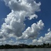 Summer cumulous clouds