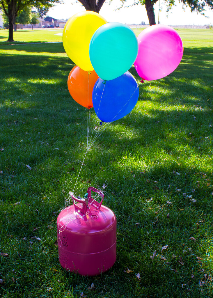 Bright Balloons Dance in Sunshine by veronicalevchenko