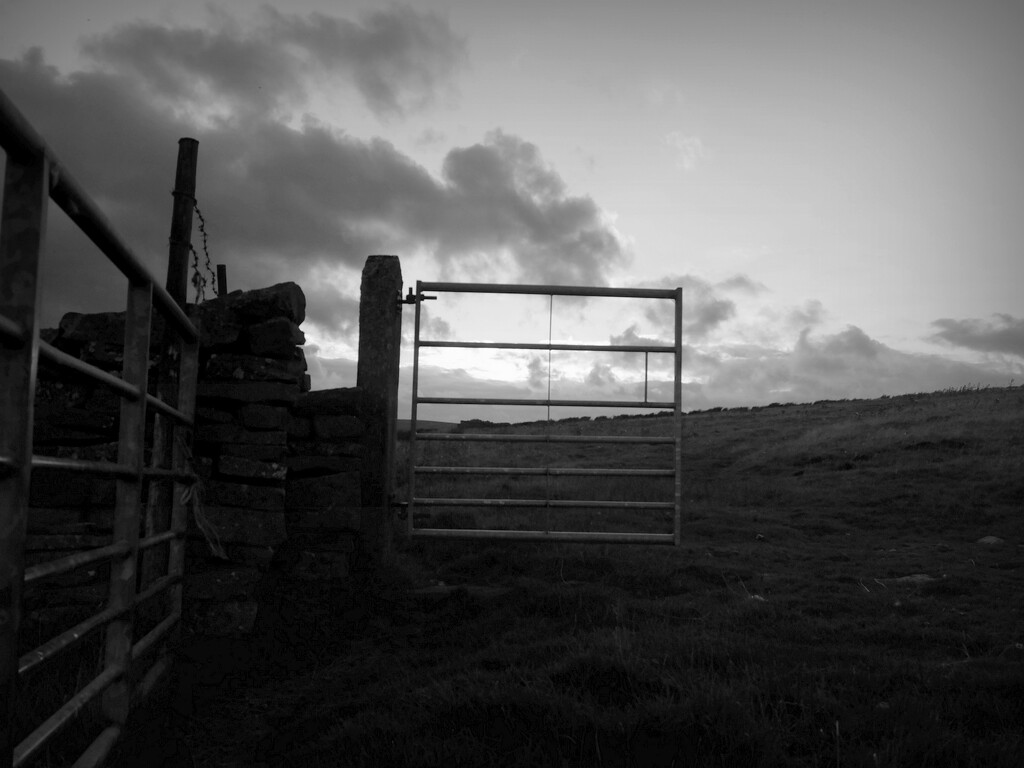 gates by minsky365