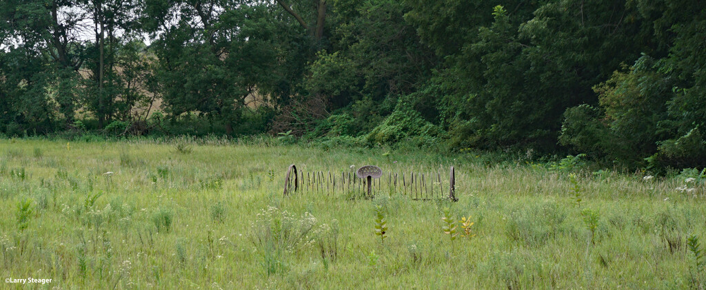 Old farm plow by larrysphotos