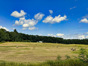 29th Aug 2024 - The second time to hay