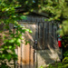 Our Old Wood Fired Sauna 