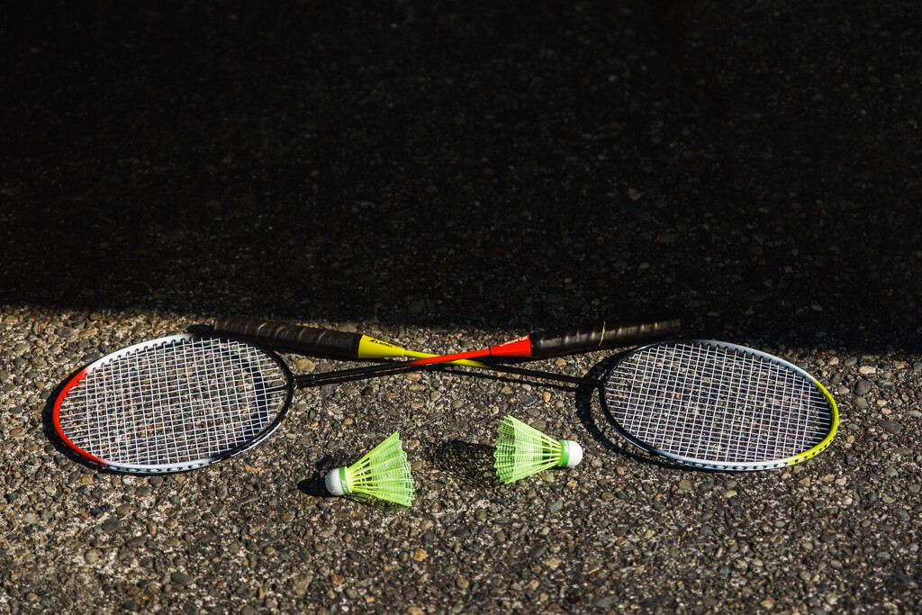 Badminton Symmetry  by tina_mac