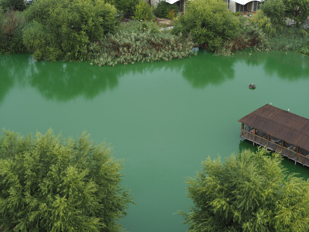 A lake so green by monikozi