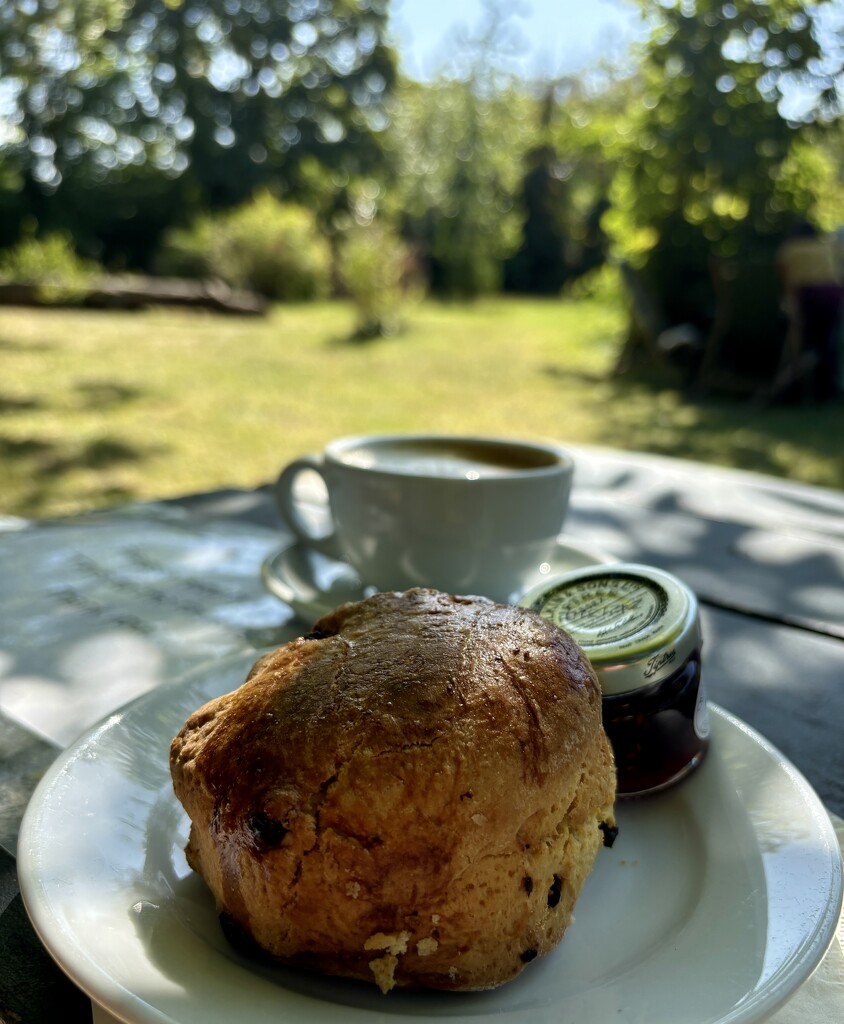 Any time is scone time! by lizgooster