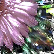 30th Aug 2024 - Abstract - gerbera