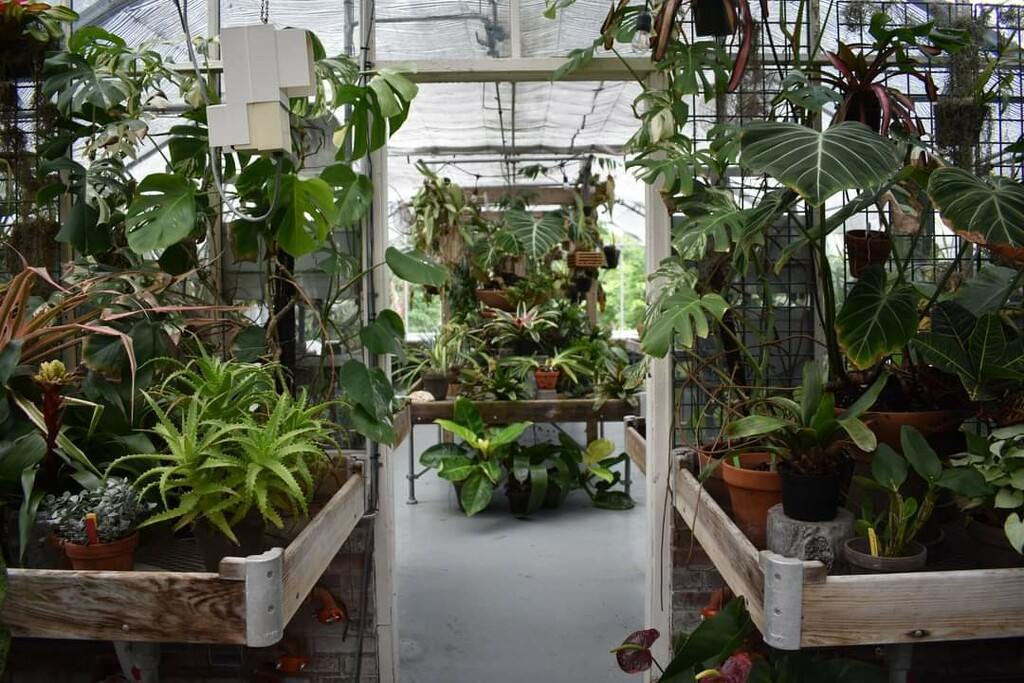 Inside the Greenhouse  by alophoto