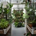 Inside the Greenhouse 